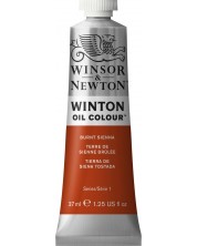 Vopsea de ulei  Winsor & Newton Winton - Burnt Sienna, 37 ml -1