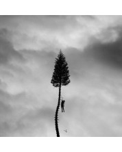 Manchester Orchestra- A Black Mile To the Surface (CD)