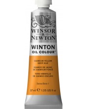 Vopsele de ulei Winsor & Newton Winton - Cadmium Yellow Deep Hue, 37 ml  -1