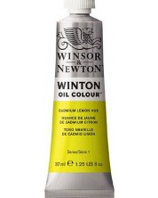 Winsor & Newton Winton - Cadmium Lemon Hue, 37 ml -1