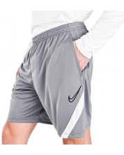 Pantaloni scurţi pentru bărbaţi Nike - Dry Academy Pro KP, gri