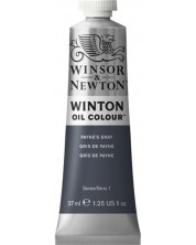 Vopsea de ulei Winsor & Newton Winton - Payne's Grey, 37 ml -1