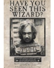 Maxi poster GB eye Movies: Harry Potter - Wanted Sirius Black