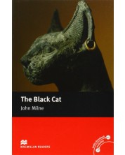 Macmillan Readers: Black cat (Elementary)