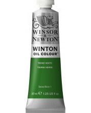 Vopsea de ulei  Winsor & Newton Winton - Terre Verte, 37 ml