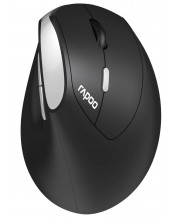 Mouse Rapoo - EV250, optic, fără fir, negru/argintiu -1