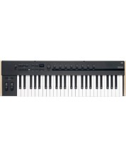 Tastatură MIDI Korg - Keystage, 49 clape, Poly AT