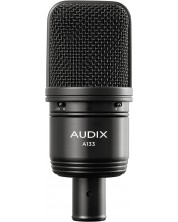 Microfon AUDIX - A133, negru