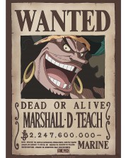 Mini poster GB eye Animation: One Piece - Blackbeard Wanted Poster -1