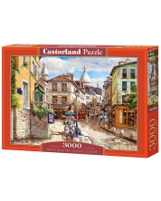 Puzzle Castorland din 3000 de piese - Sacre cuor -1