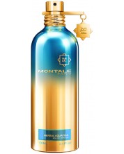 Montale Apă de parfum Herbal Aquatica, 100 ml