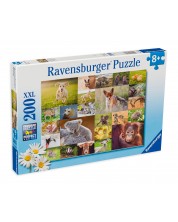 Puzzle Ravensburger din 200 XXL de piese - Animalele de companie adorabile
