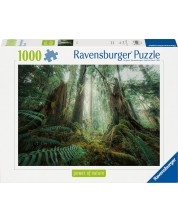 Puzzle Ravensburger  din 1000 de piese  - Pădure fermecătoare -1