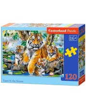 Puzzle Castorland din 120 de piese - Tigri -1