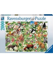 Puzzle Ravensburger din 2000 de piese - Jungle -1