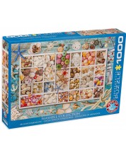 Puzzle Eurographics din 1000 de piese - Seashell Collection -1