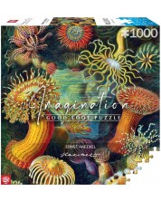 Puzzle Good Loot din 1000 de piese - Ernst Haeckel: Creaturi marine