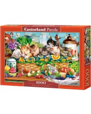 Puzzle Castorland din 1000 de piese - Pisicuțe adormite