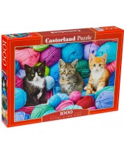 Puzzle Castorland din 1000 de piese - Pisicuțe în fire -1