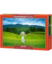 Puzzle Castorland din 1000 de piese - Câmpuri de orez în Vietnam