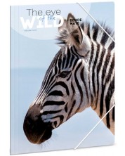 Dosar cu bandă elastică Ars Una The Eyes of the Wild A4 - Zebra -1