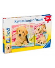 Puzzle Ravensburger din 3 x 49 piese - Labradori draguti