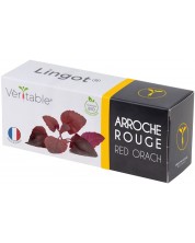 Umplutură sol Veritable - Lingot, Spanac roșu francez, fără OMG -1