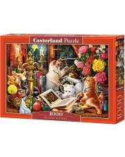 Puzzle Castorland din 1000 de piese - Pisicuțe vrăjitoare -1