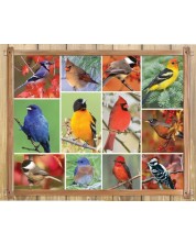 Puzzle Springbok din 1000 de piese - Songbirds -1