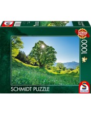 Puzzle Schmidt din 1000 de piese - St. Gallen, Elveția -1