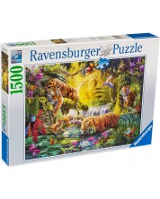 Ravensburger Puzzle de 1500 de piese - Tigri in jungla