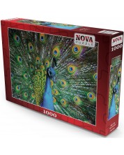 1000 de piese Nova Puzzle - Peacock