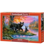 Puzzle Castorland din 1000 de piese - Familia de ursi -1