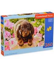 Puzzle Castorland de 260 piese - Cute Dachshund
