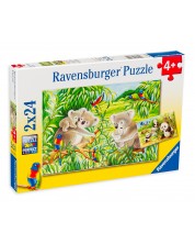 Puzzle Ravensburger din 2 x 24 de piese - Koale si panda -1