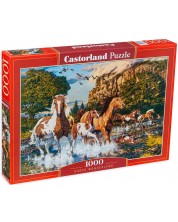 Puzzle Castorland din 1000 de piese - Cai în râu -1