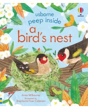 Peep Inside: A Bird's Nest