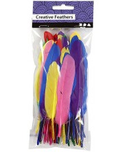 Pene pentru decorare Compania Creativ - 6 culori, 48 de buc