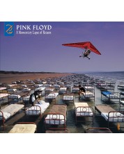 Pink Floyd - A Momentary Lapse Of Reason (Remixed & Updated) (2 Vinyl)
