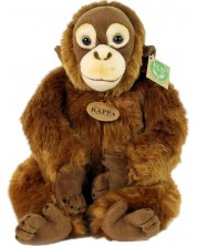Jucărie de pluș Rappa Eco Friends - Orangutan, așezat, 27 cm