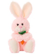 Jucării Teddy Bunny Tea Toys - Benny, 28 cm, cu morcov, roz -1
