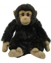 Jucărie de pluș Rappa Eco Friends - Șimpanzeu, 27 cm -1