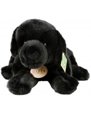 Jucărie de pluș Rappa Eco Friends - Labrador Retriever, culcat, negru, 40 cm