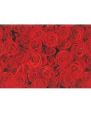 Hartie de impachetat cadouri Susy Card - Trandafiri roz, 70 x 200 cm