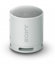 Boxă portabilă Sony - SRS-XB100, gri -1