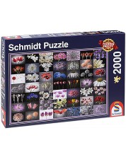 Puzzle Schmidt din 2000 de piese - Salut colorat -1