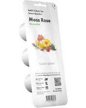 Semințe Click and Grow - Moss Rose, 3 rezerve -1