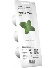 Semințe Click and Grow - Apple mint, 3 rezerve -1
