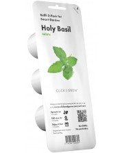 Semințe Click and Grow - Holy Basil, 3 rezerve -1