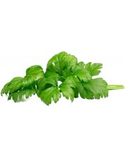 Semințe Click and Grow - Celery leaf, 3 rezerve -1